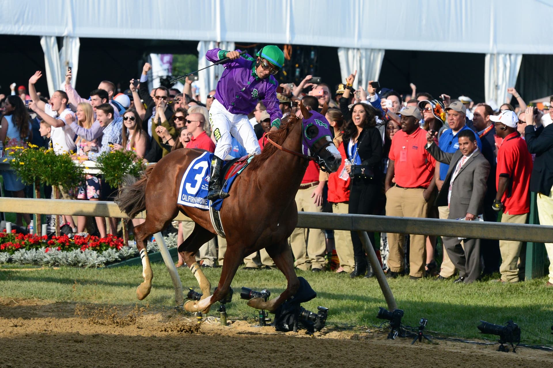 horse racing, Preakness Stakes