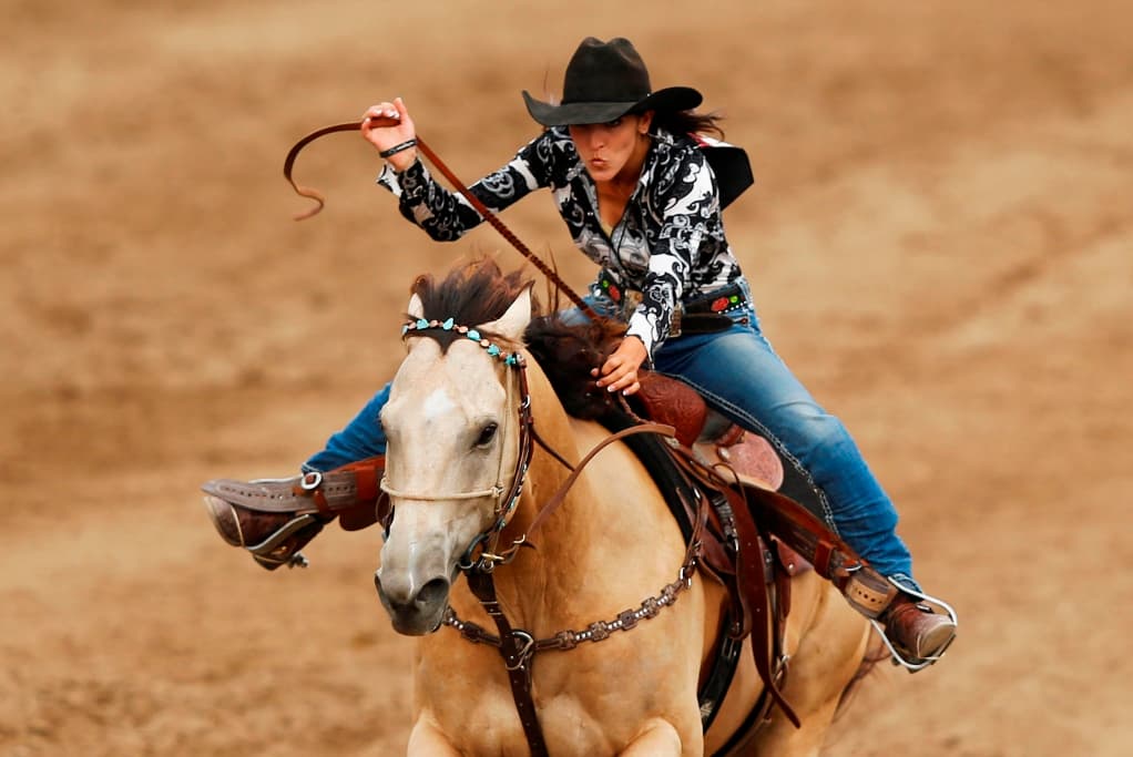 New Mexico State Investment Council, pension fund, private equity, venture capital,