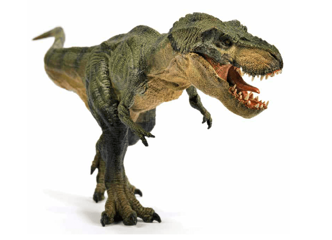 t rex, Tyrannosaurus ,