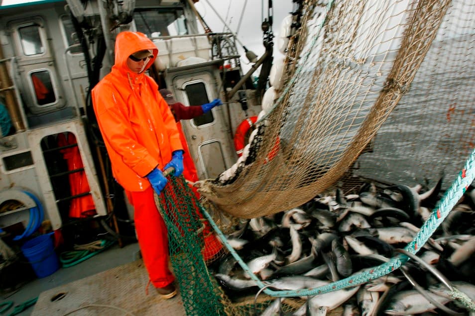 Alaska Permanent Fund, private equity, pension fund, Marcus Frampton