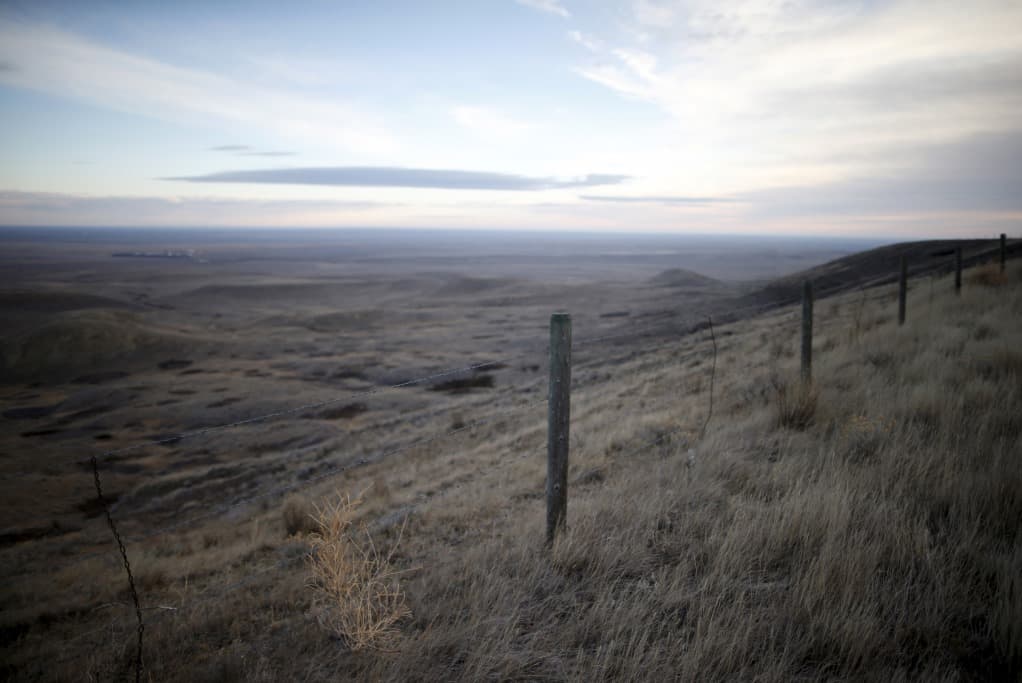 private equity, pension fund, Montana Board of Investments, David Ewer