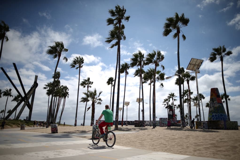 LAFPP, Los Angeles Fire & Police, private equity, pension fund
