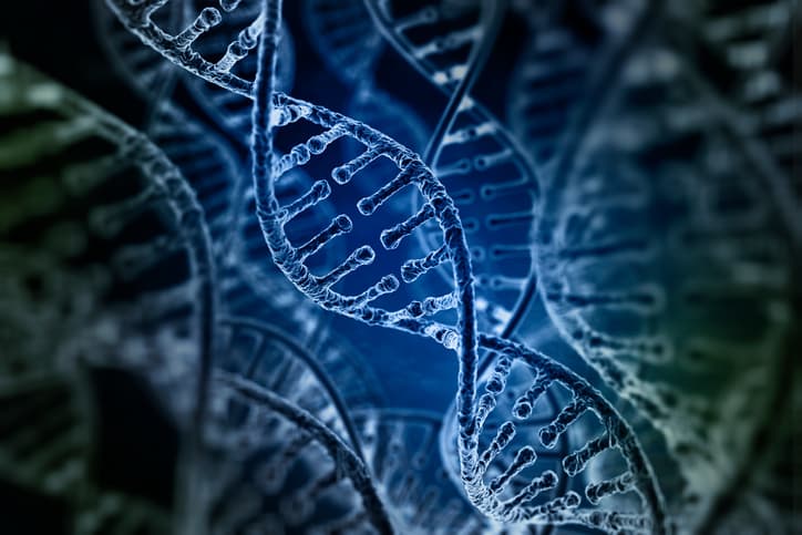 Bain Capital, life sciences, private equity, venture capital