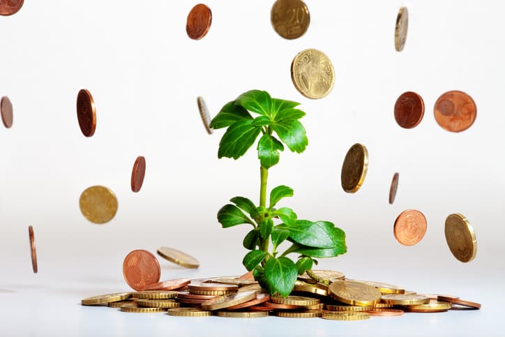 Blackstone Group, Apollo Global Management, Carlyle Group, Kohlberg Kravis Roberts, KKR, private equity