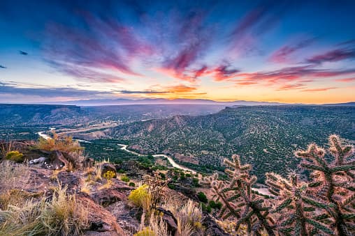 New Mexico State Investment Council, private equity, pension fund, David Lee,