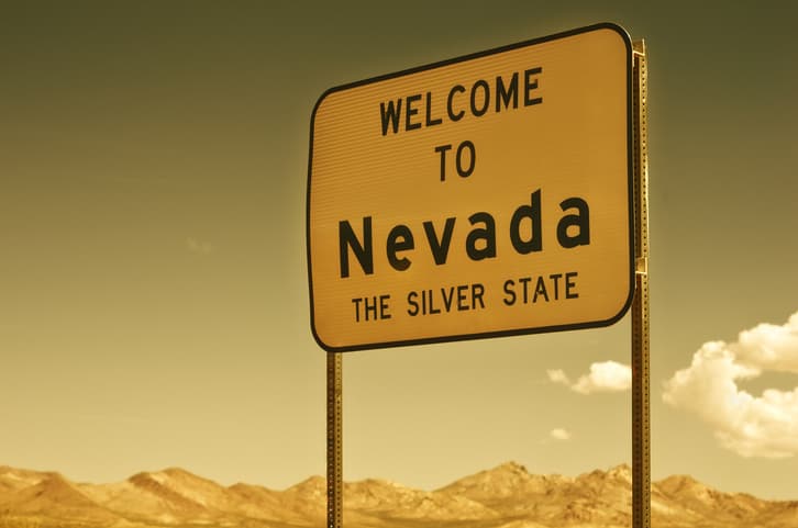 Nevada Fund Performance VCJ Venture