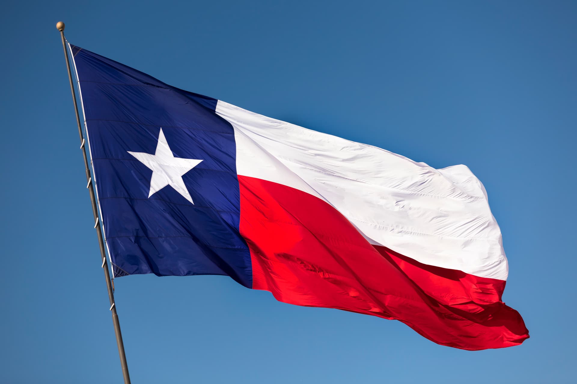 Texas, state flag,
