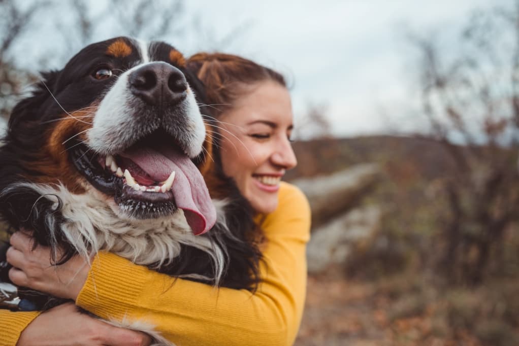 veterinary, medical, healthcare, private equity, animal health, hospitals