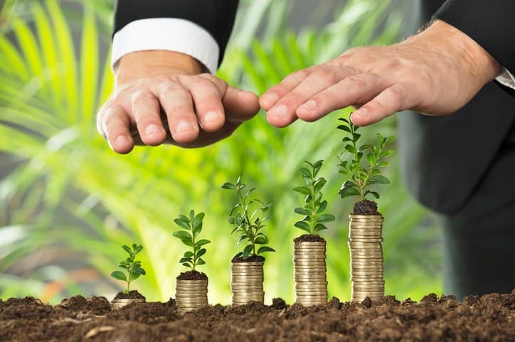 growing capital, small to big, growth, sprout, grow, business,