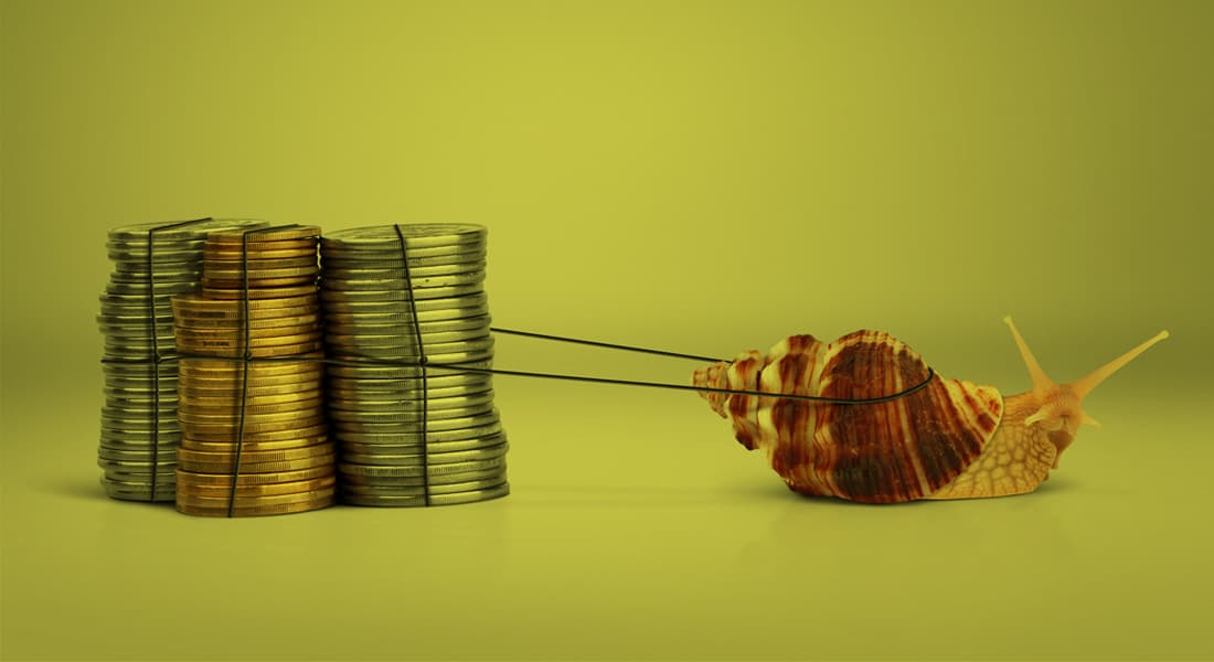 snail pulling money on a green background