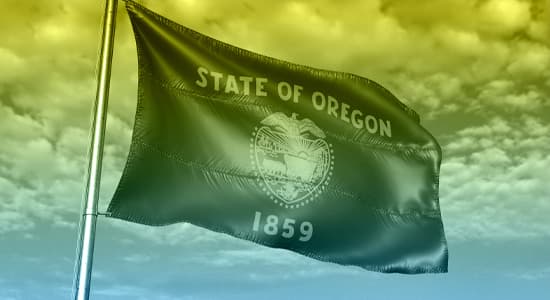 Photo of the Oregon state flag.