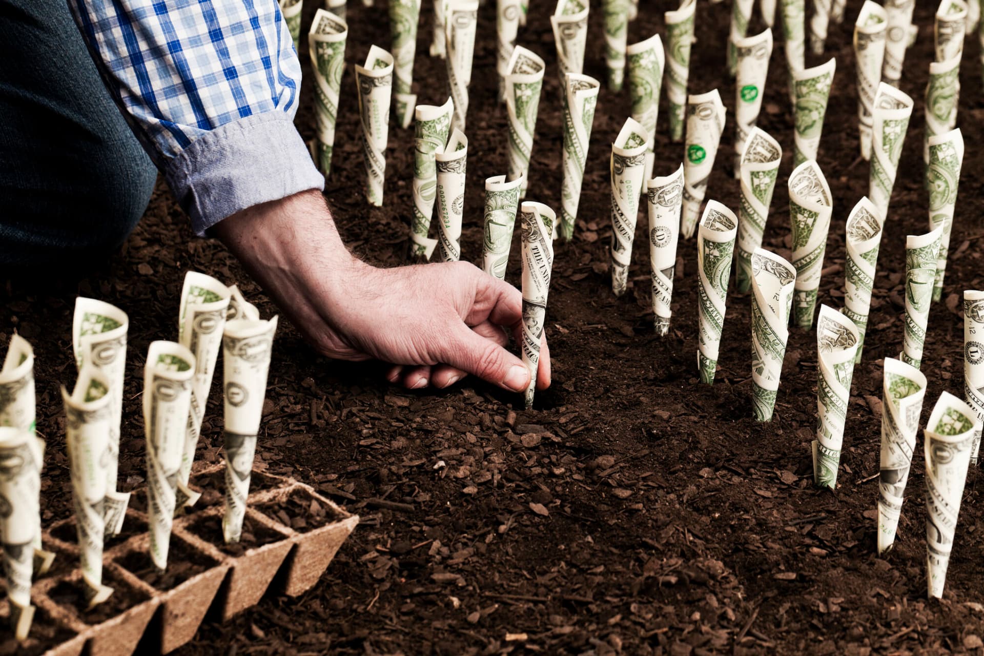 fundraising, planting money