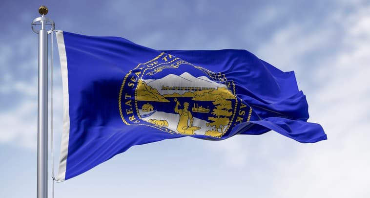 Image of the Nebraska flag.