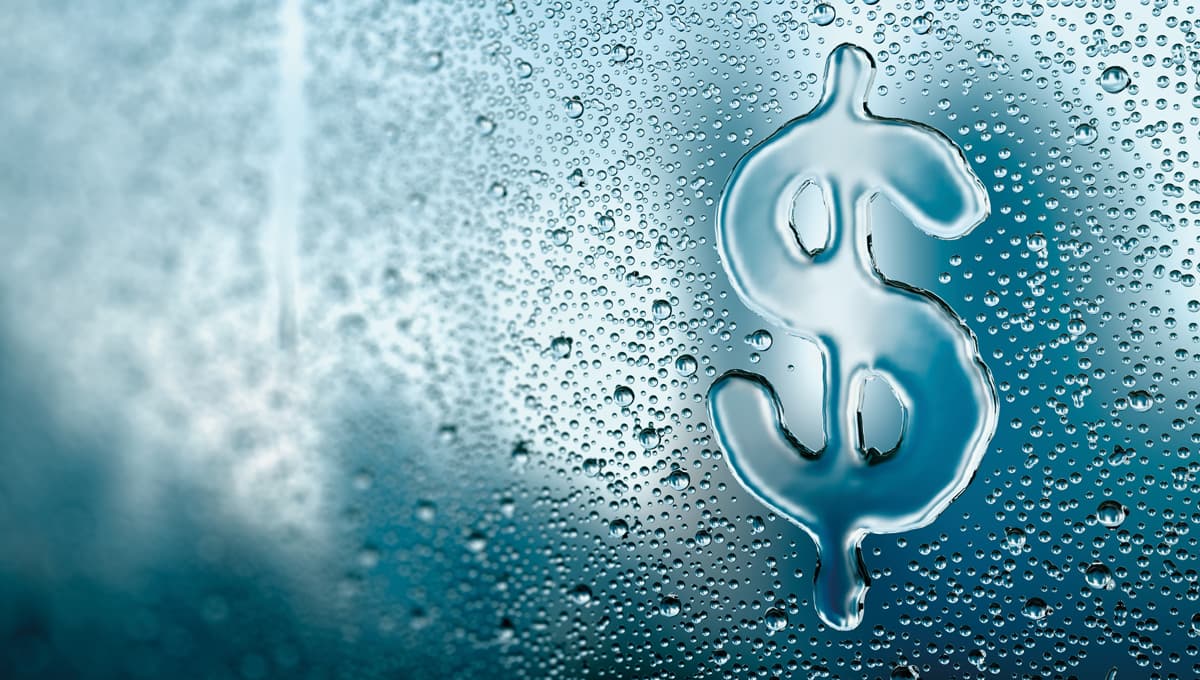 Raindrop dollar