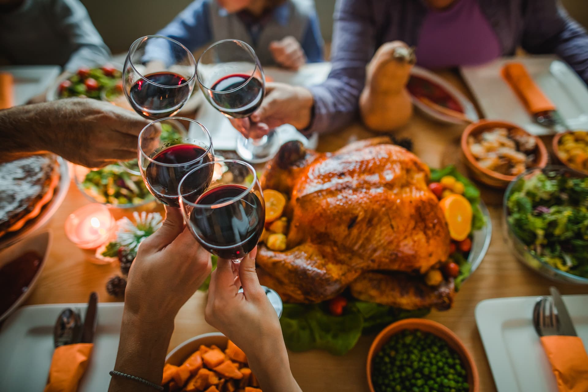 Thanksgiving dinner, toast, turkey, wine, celebration, holiday, holidays