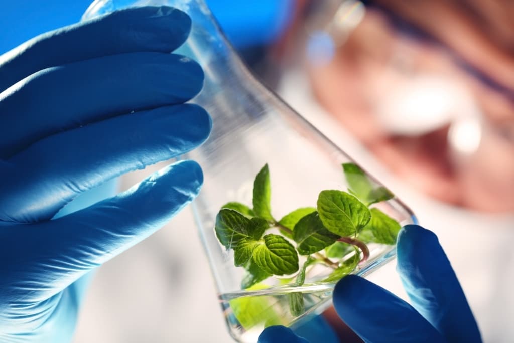 LGC Group, KKR, life science tools, Cinven, Astorg