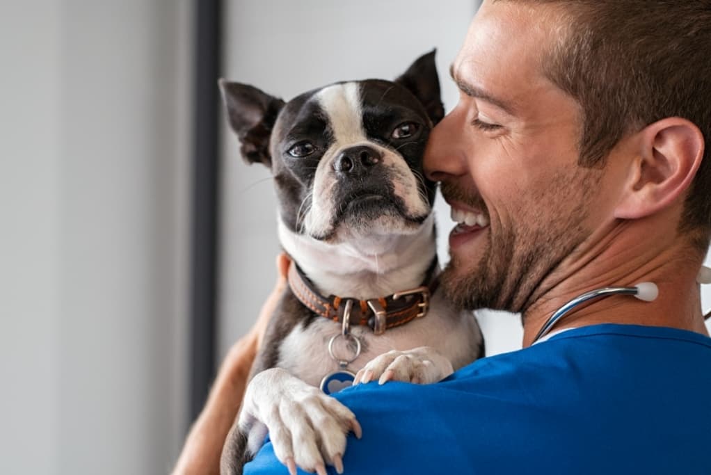 vet care