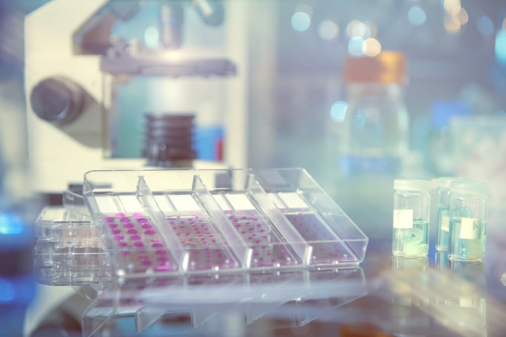 histology, pathology, lab, diagnostics