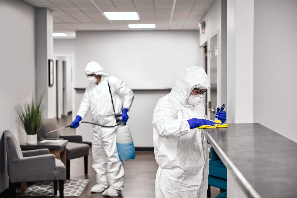 hygiena, sanitize, disinfect, hygiene