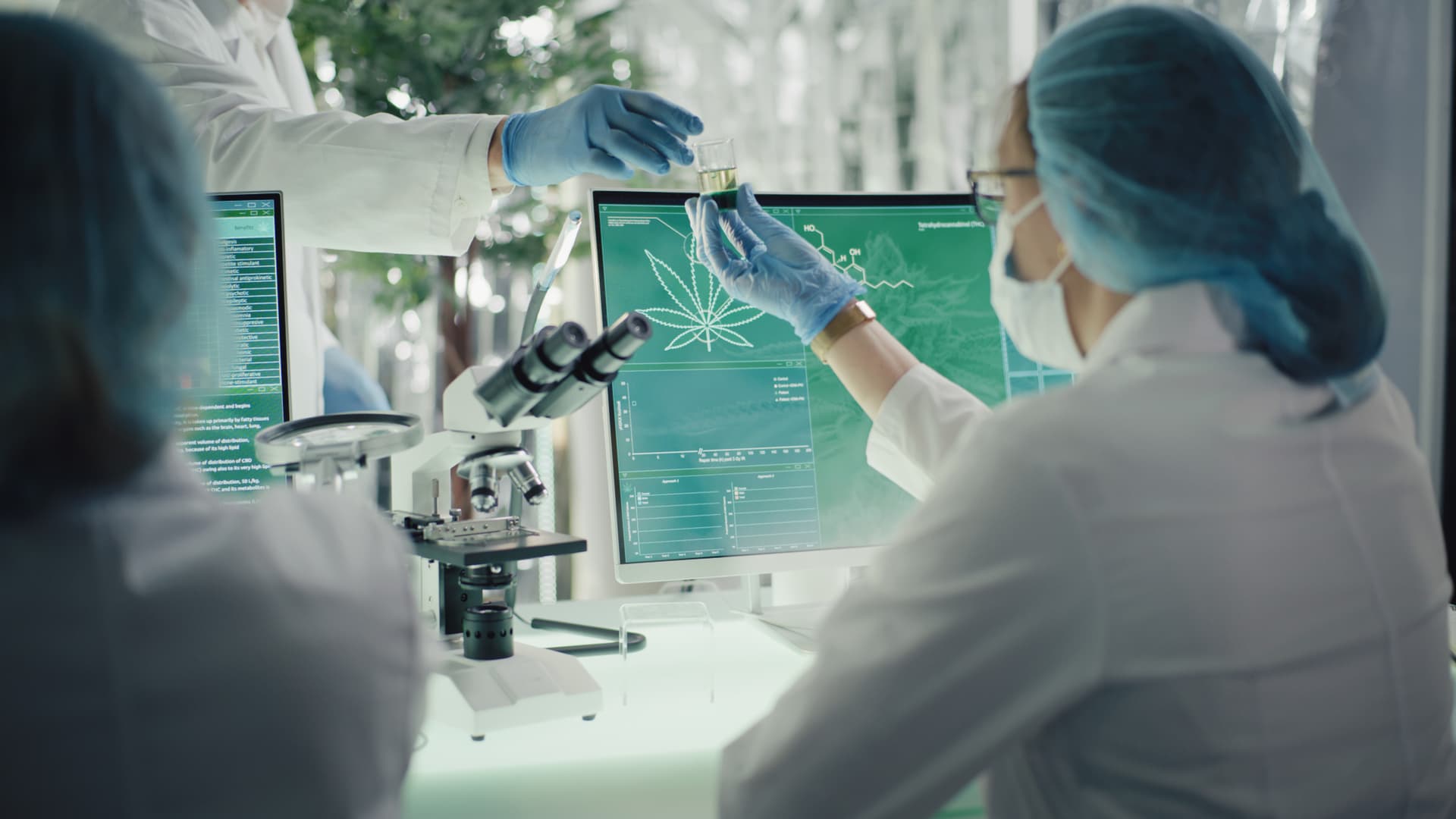 Cannabis research