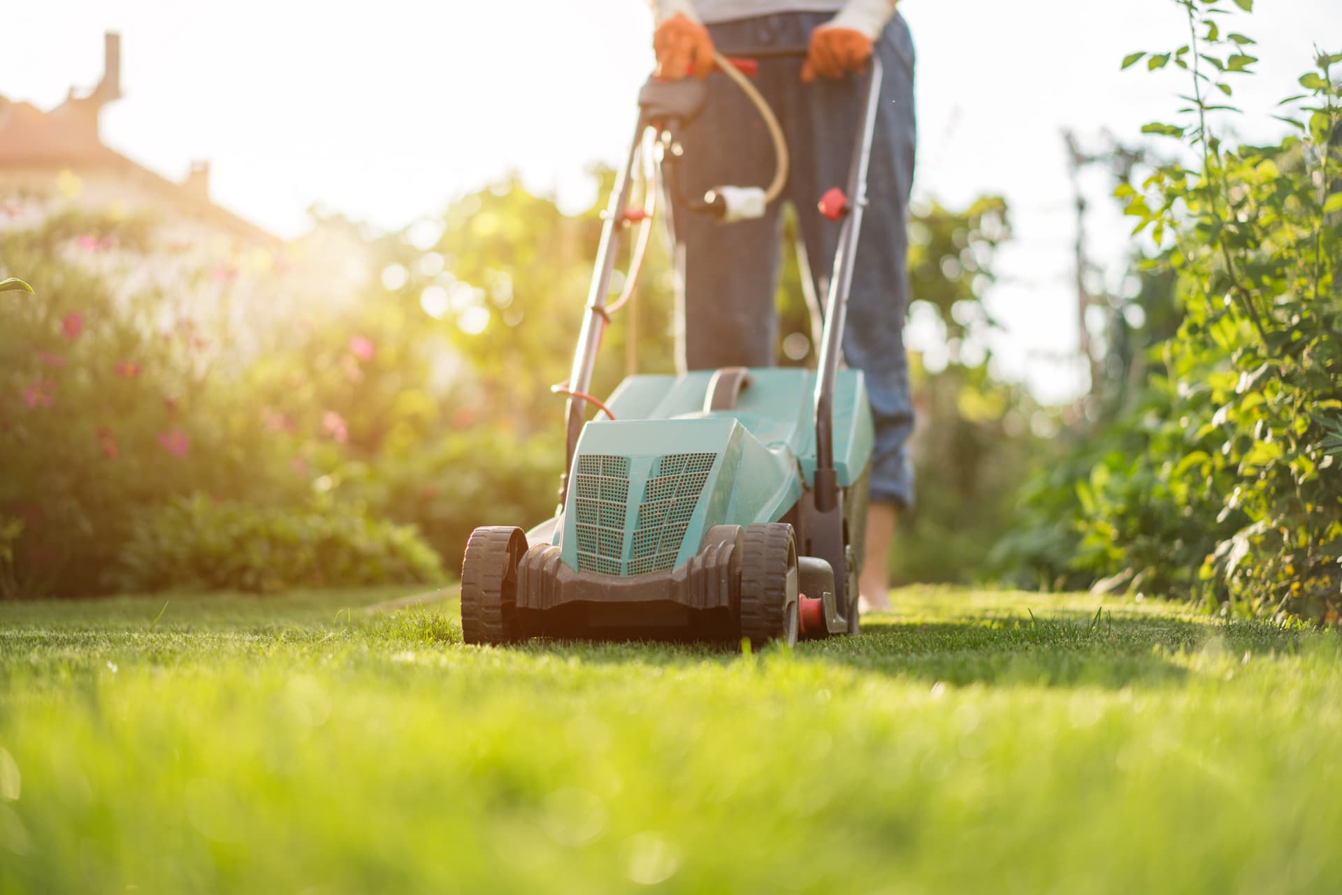lawnmower, landscaping, landscape, mowing the lawn, grass, yard maintenance