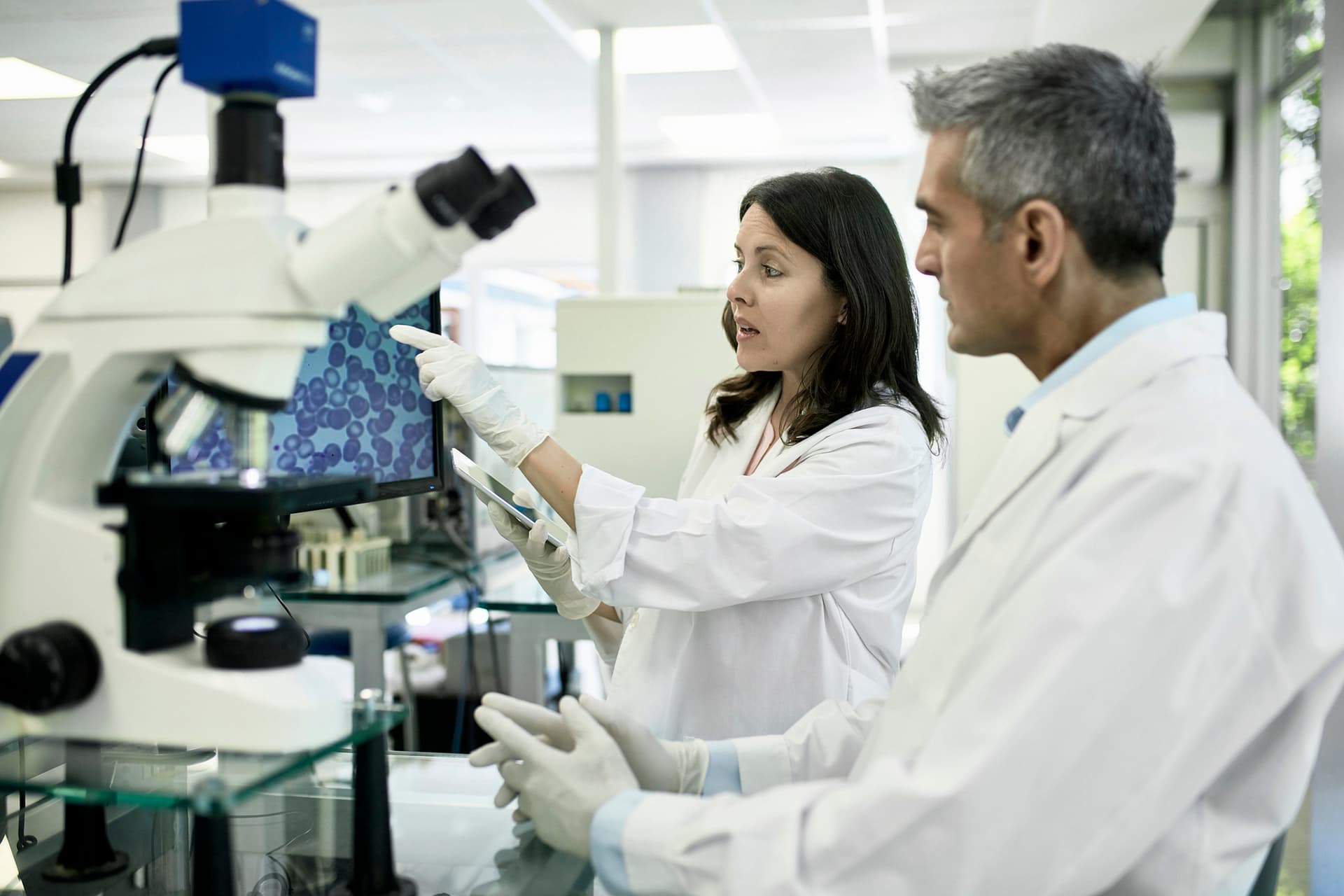 Close-up of mature Hispanic male and female pathologists in white coats studying medical scan on computer display in Buenos Aires clinical analysis laboratory.
