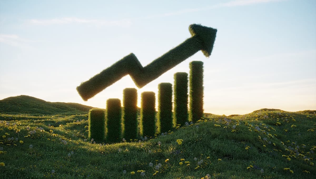 Sustainable growth chart