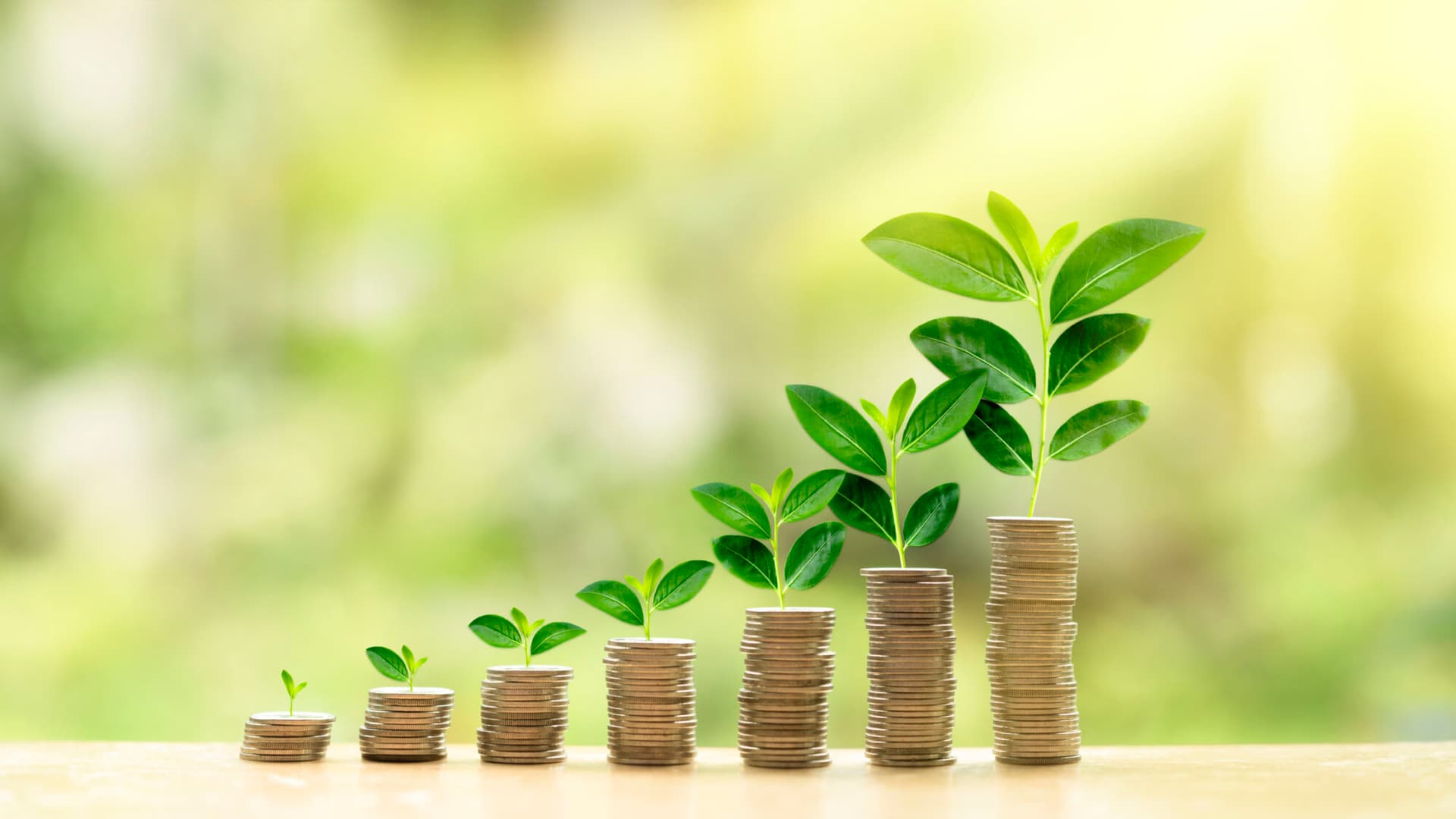 piles of coins with green shoots on top