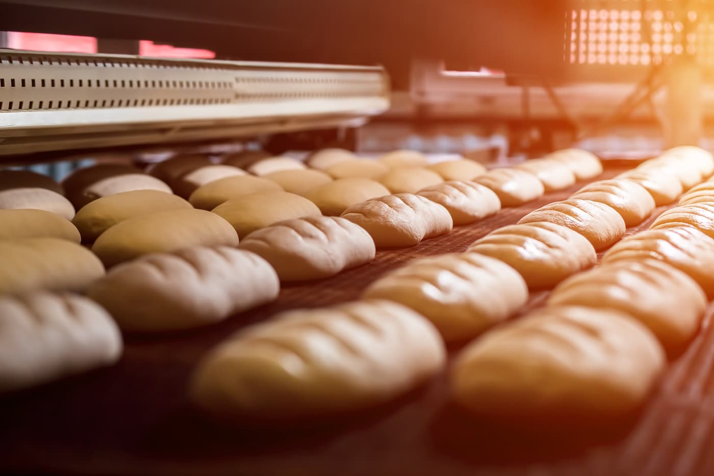 Rows of bread being taken out of an oven in a commercial bakery.
