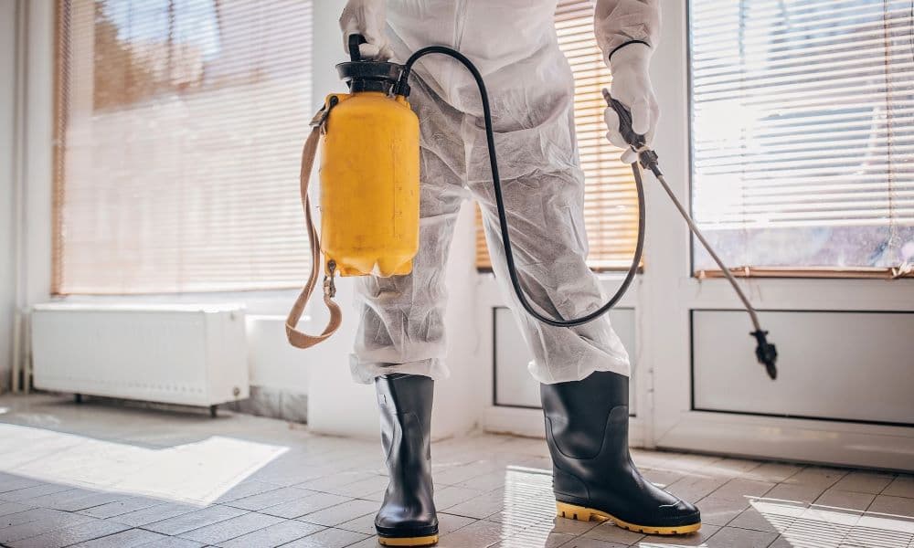 A pest control worker sprays inside a house.