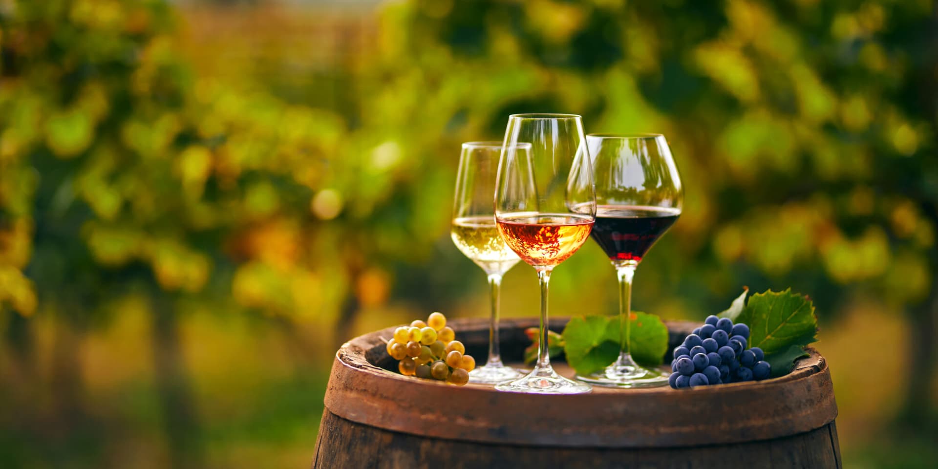 Wine