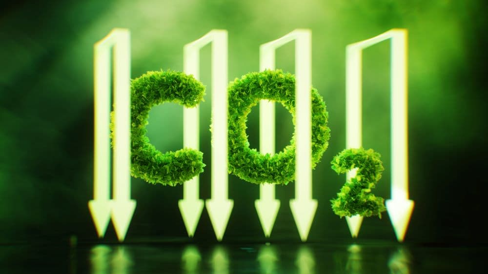 Photo illustrating decarbonization concept