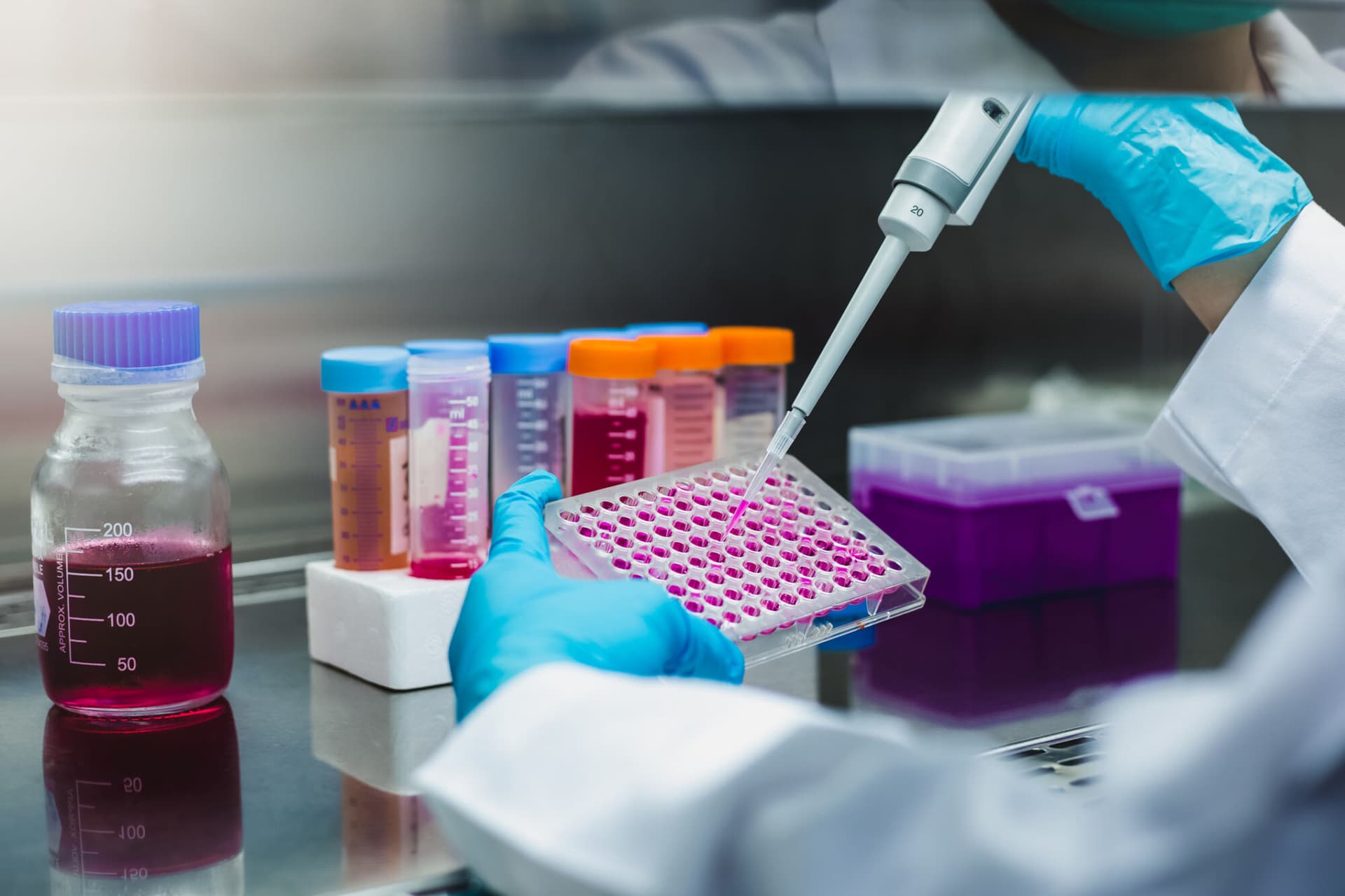 Closeup shot, Scientist use micropipette with sample preparation in the laboratory fume hood for bioassay of in vitro cells on microplate, 96 well in laboratory. Medicinal, Medicine, Biochemistry research.