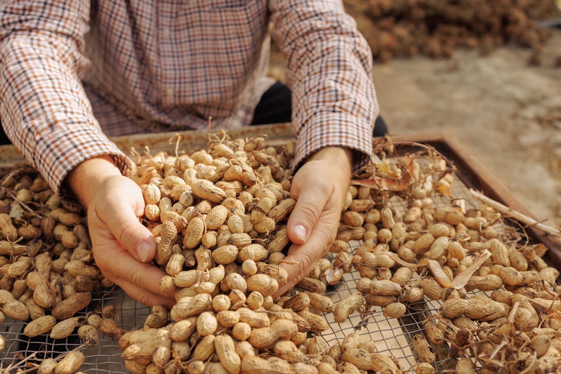 Photo of a person grabbing peanuts