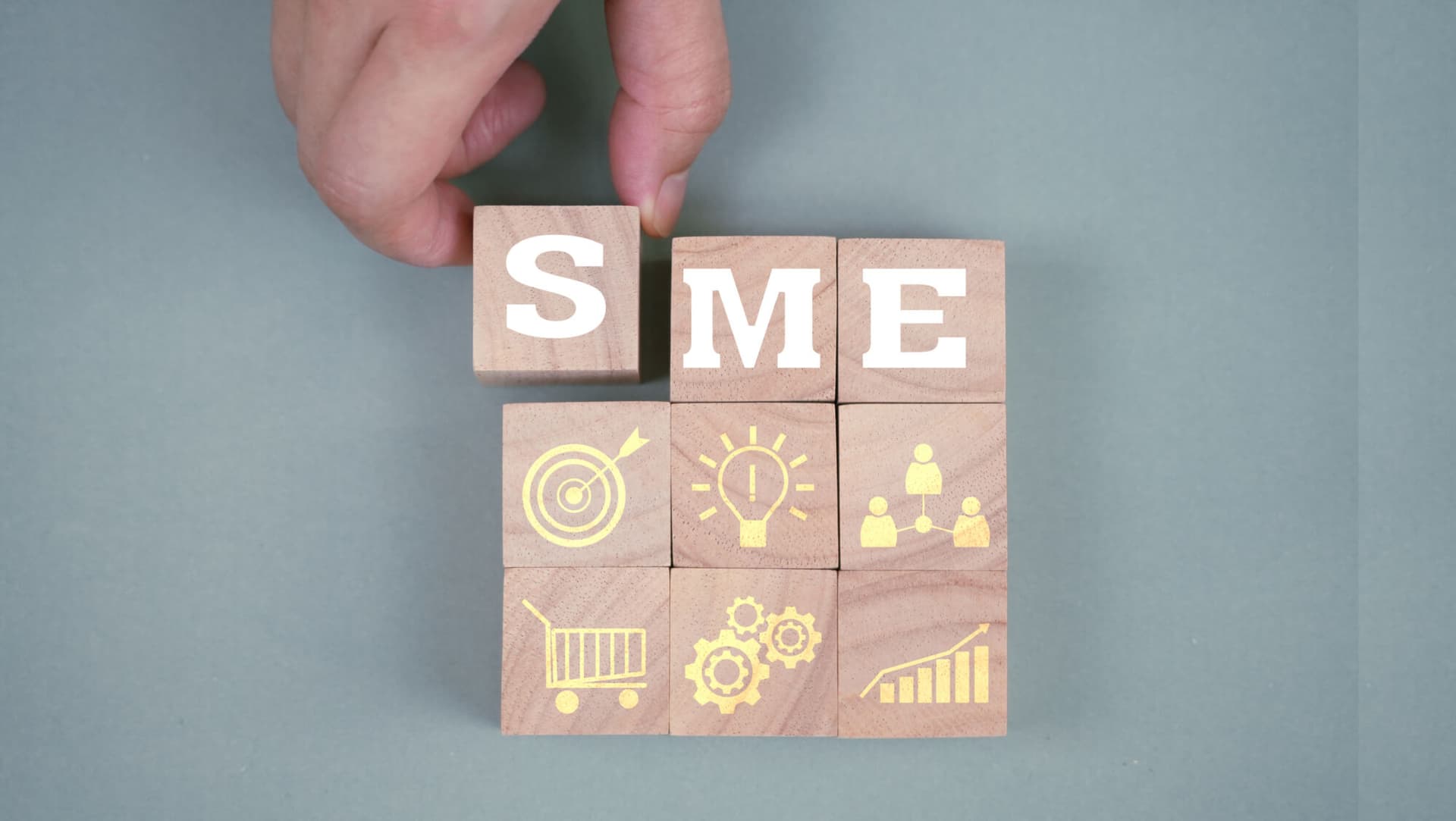 Private equity investing in SMEs