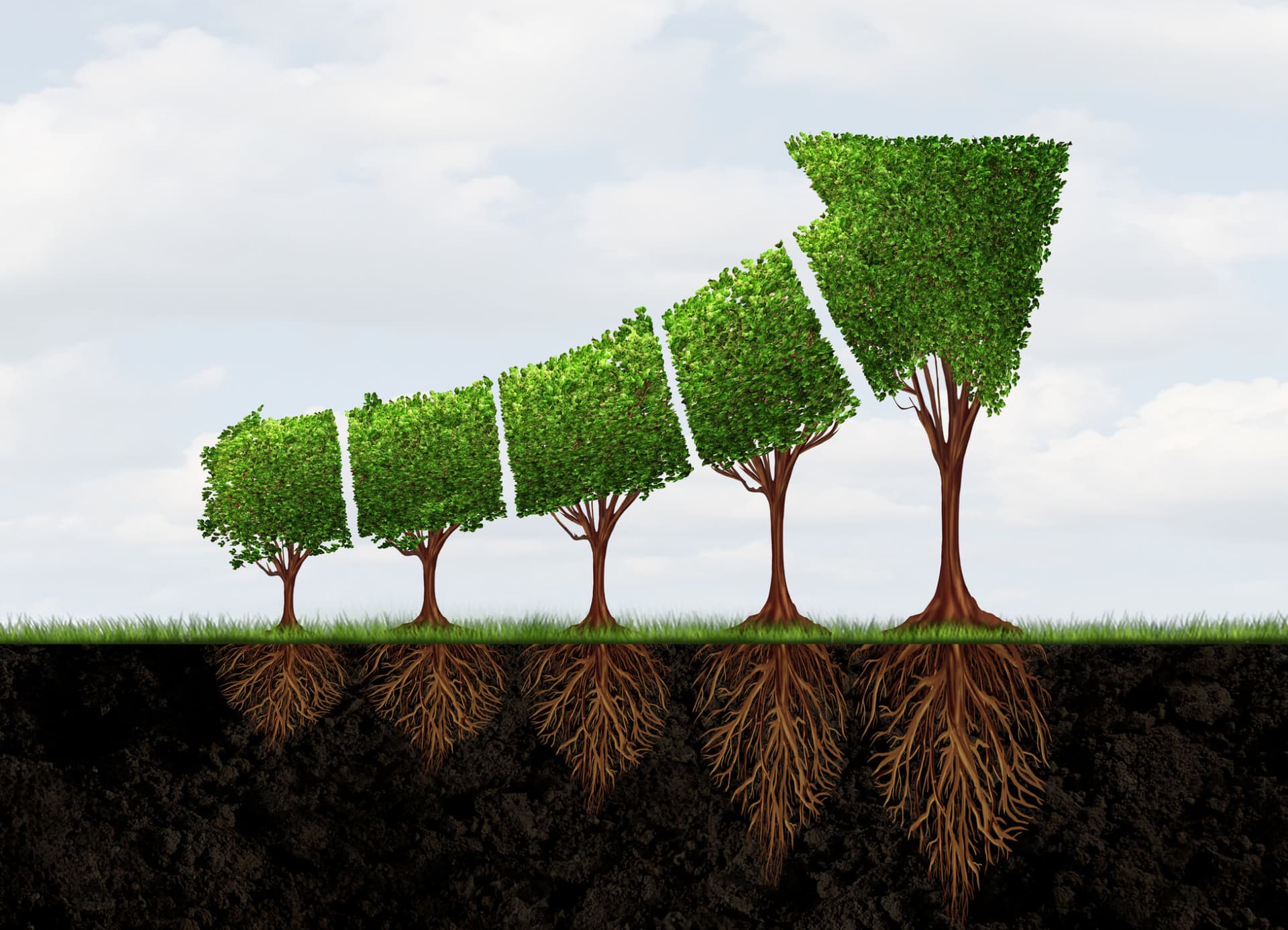 Image of tree's trimmed into the shape of an arrow pointing up