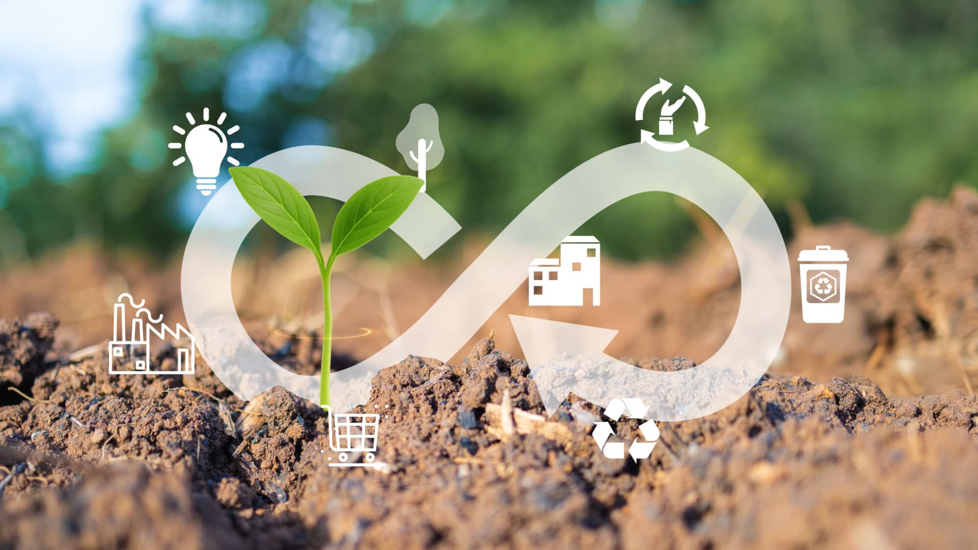 Circular economy concept with plant growth and sustainable icons_Getty
