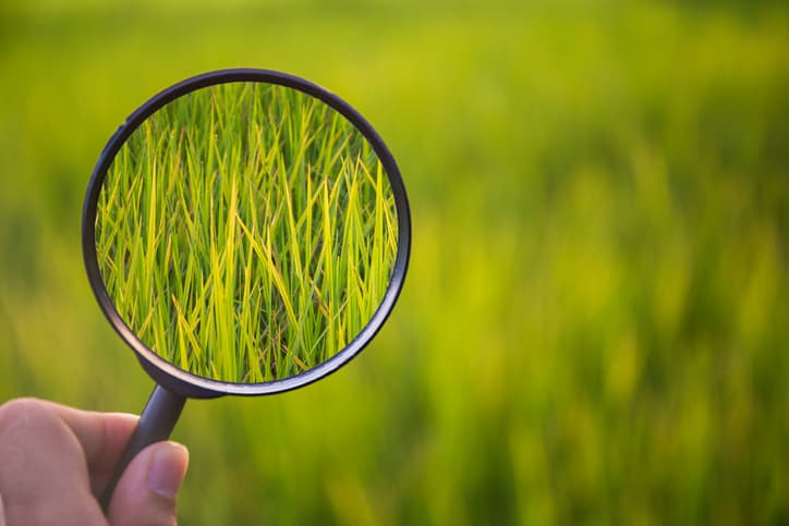 Impact investing, transparency