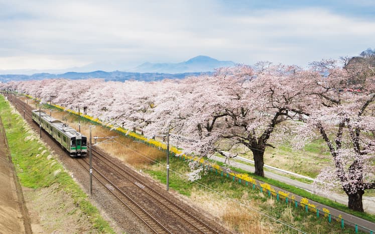 Investcorp entering Japan
