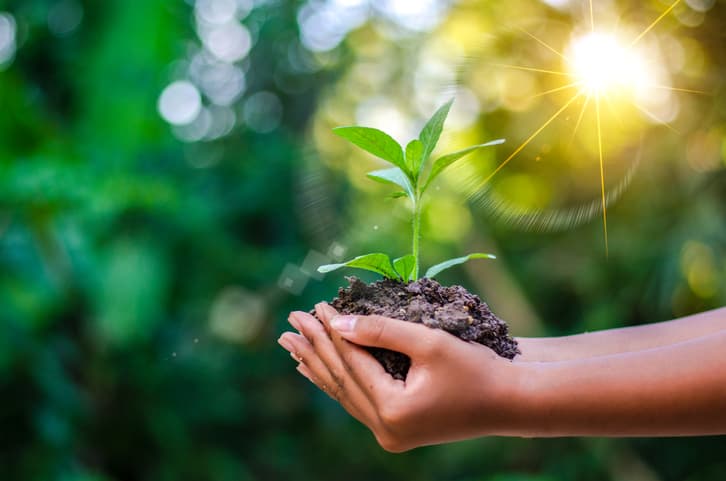 Impact investing
