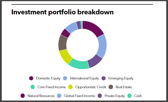 LSERS' investment portfolio breakdown