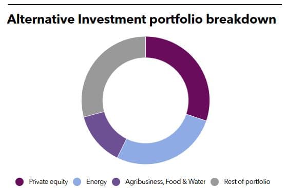 FMO Alternative Investment Portfolio
