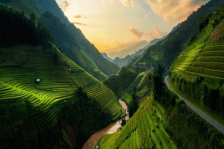 Vietnam