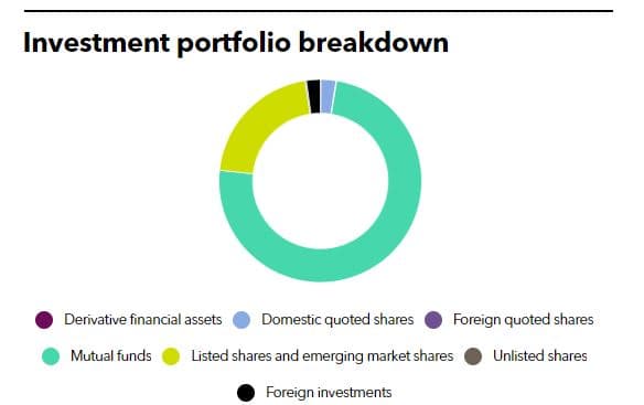 Investment portfolio breakdown of Advantech