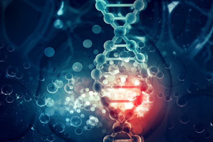 DNA cell