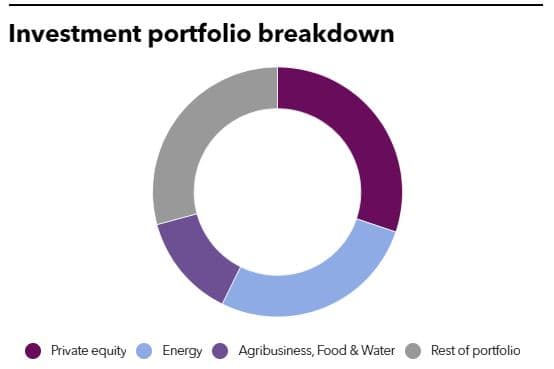 FMO Portfolio Breakdown