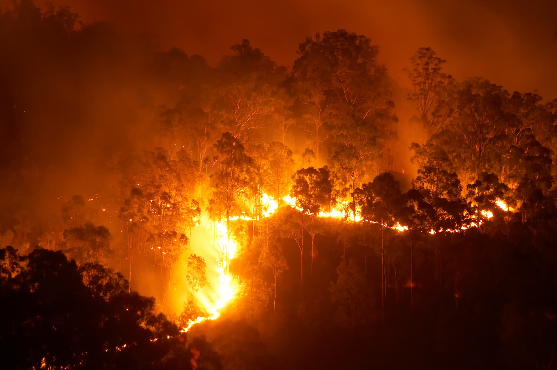 forest fire climate change