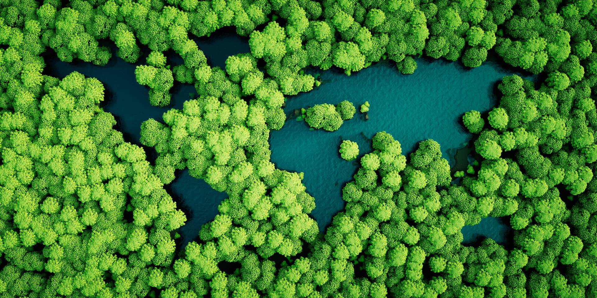 sustainability