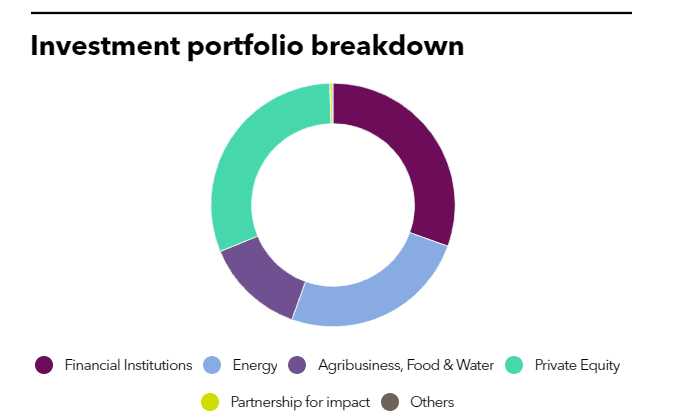 Investment portfolio breakdown of FMO