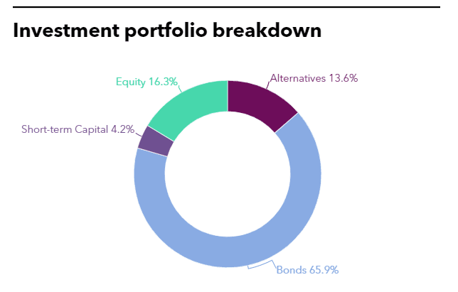 Investment portfolio breakdown of Yellow Umbrella